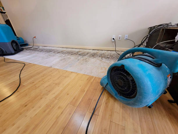 Professional Water Removal technician working in Vaughnsville, OH